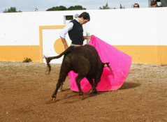Tenta na Herdade das Místicas